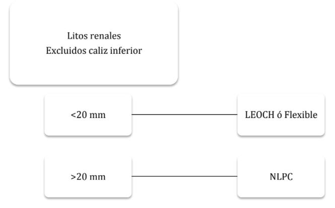 Clínica de Litiasis Renal - Urólogo en Guadalajara